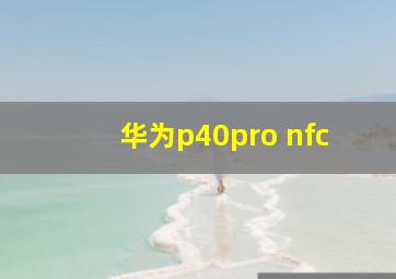 华为p40pro nfc